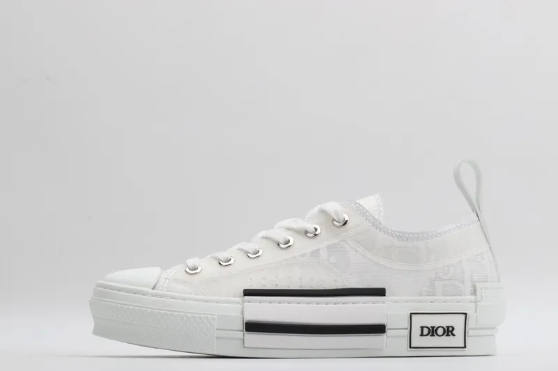 Dior sneaker