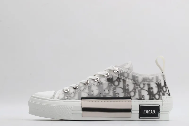 Dior sneaker