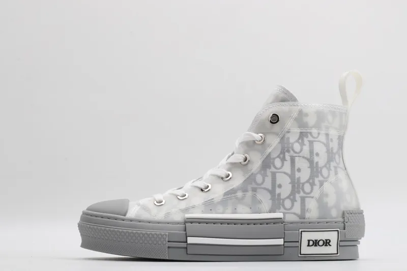 Dior sneaker
